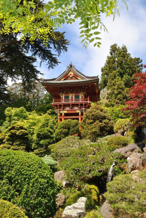 Golden Gate Park Suite San Francisco Luaran gambar