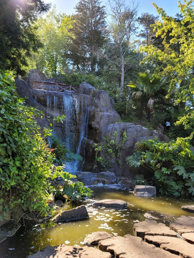 Golden Gate Park Suite San Francisco Luaran gambar